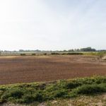 Plot 3 The Oaks-03